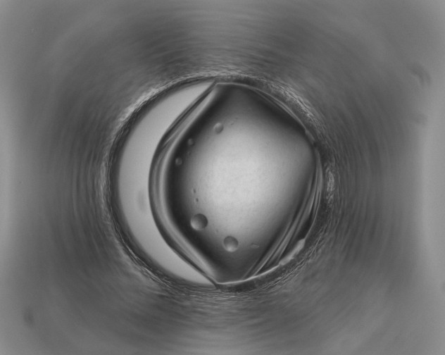 X0000112980684200909101714