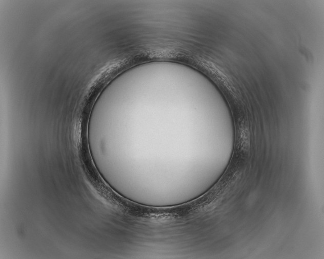 X0000112980686200909101714