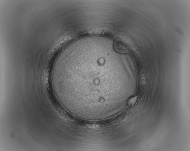 X0000112980687200909101714