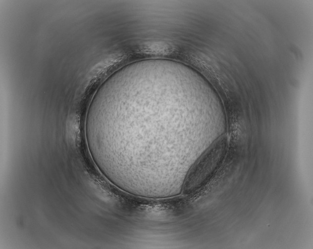 X0000112980688200909101714