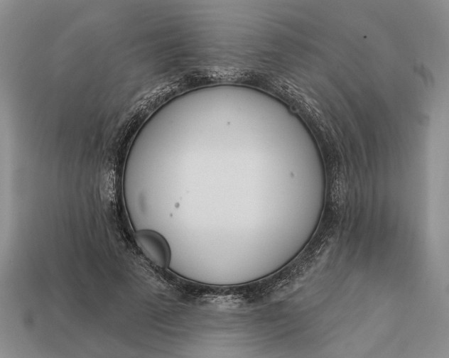 X0000112980689200909101714