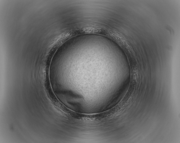 X0000112980690200909101714