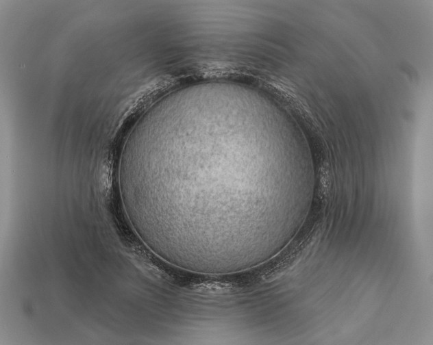 X0000112980691200909101714