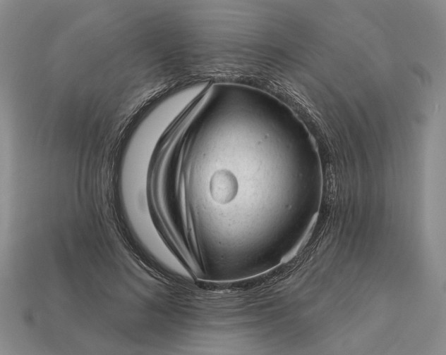 X0000112980692200909101714