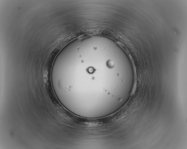 X0000112980693200909101714