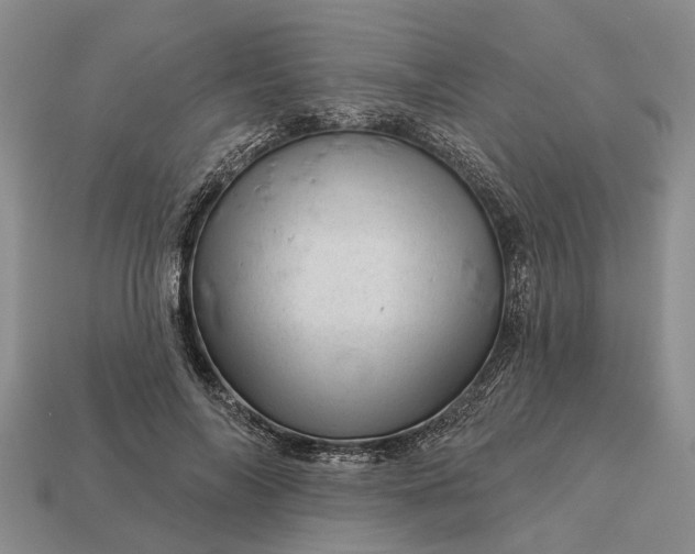 X0000112980694200909101714