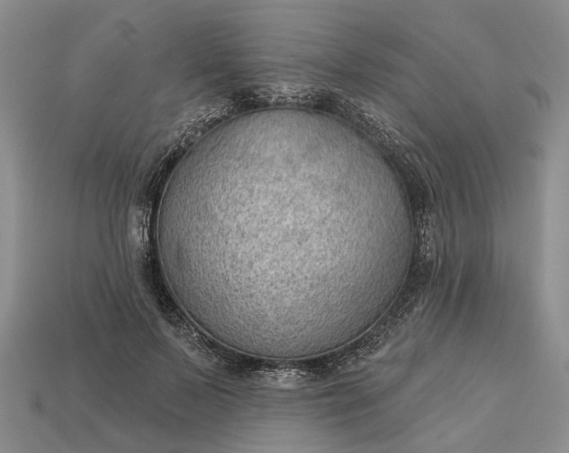 X0000112980695200909101714