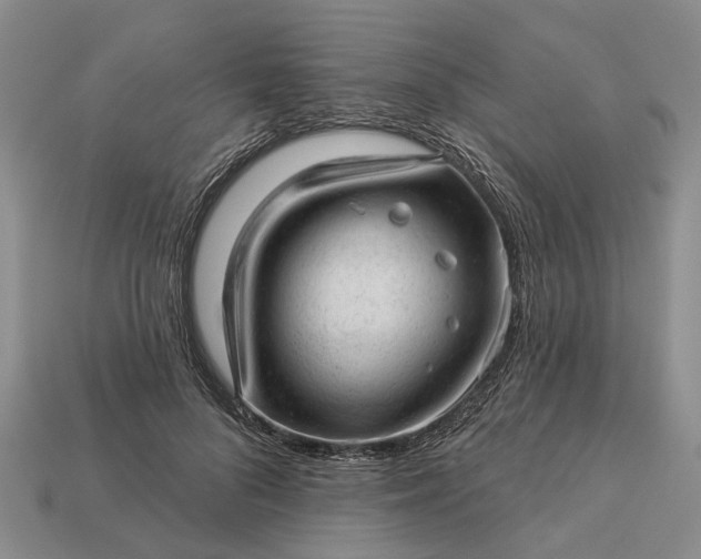 X0000112980696200909101714