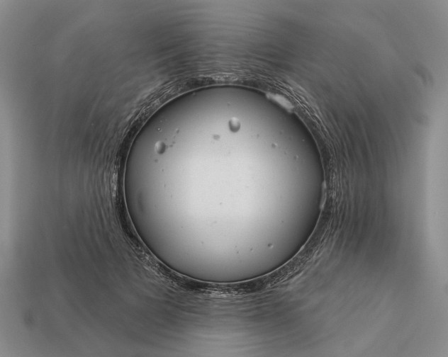 X0000112980697200909101714