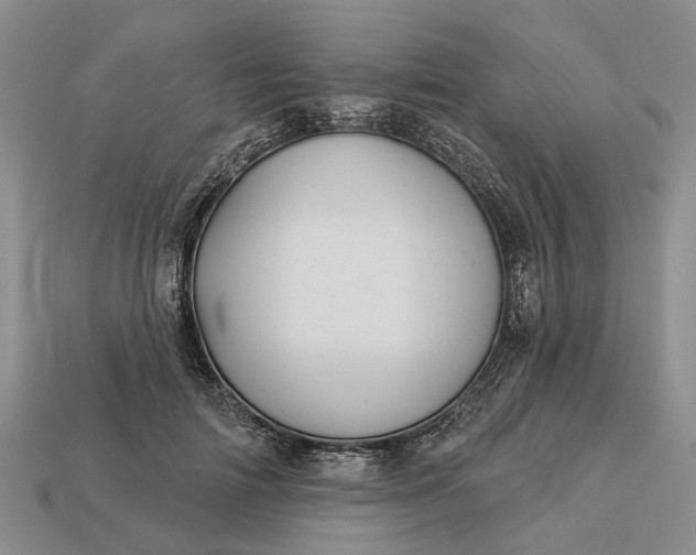 X0000112980698200909101714