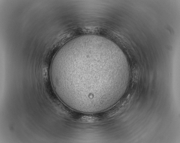 X0000112980699200909101714