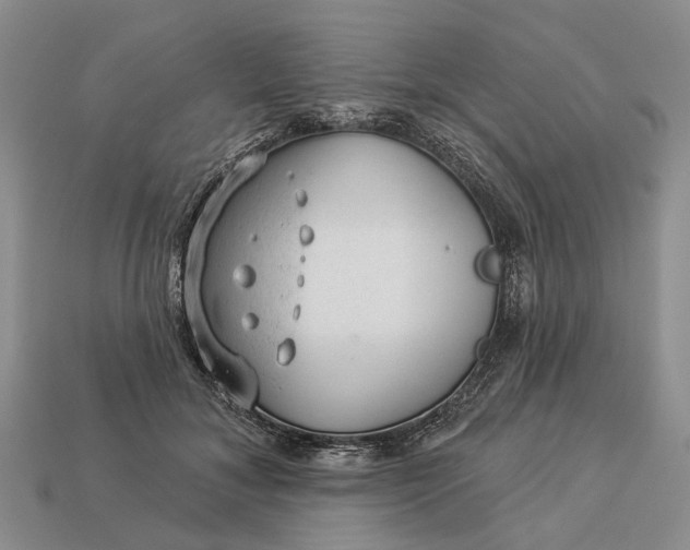 X0000112980700200909101714