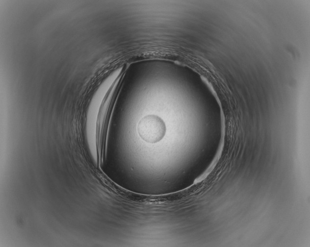 X0000112980701200909101714