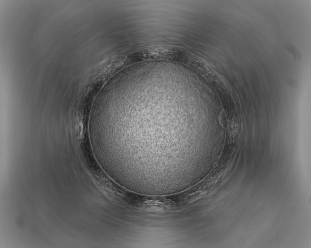 X0000112980703200909101714