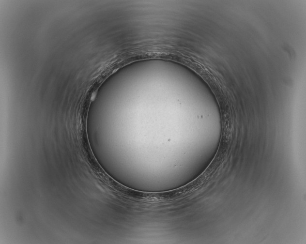 X0000112980704200909101714