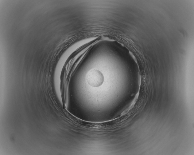 X0000112980705200909101714