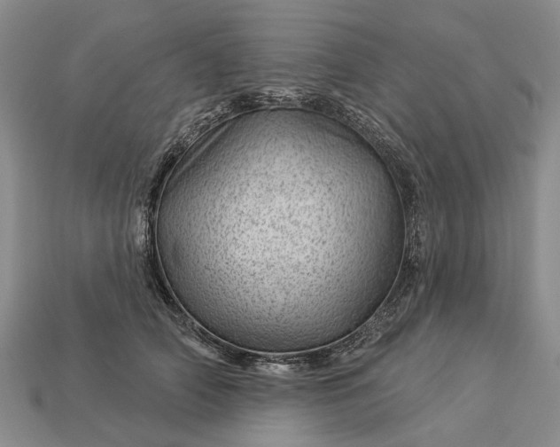 X0000112980706200909101714