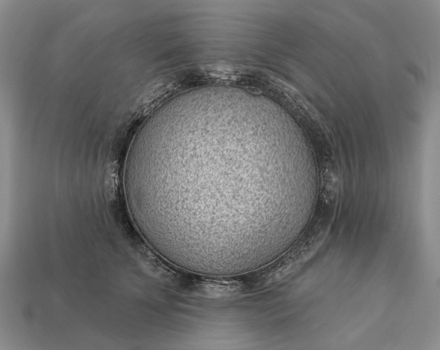 X0000112980707200909101714