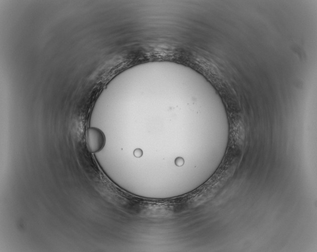 X0000112980709200909101714