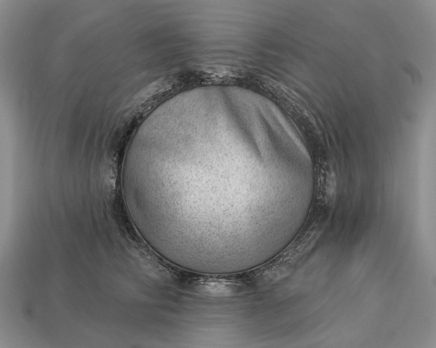 X0000112980710200909101714