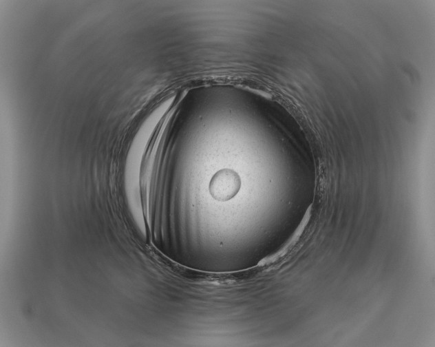 X0000112980712200909101714