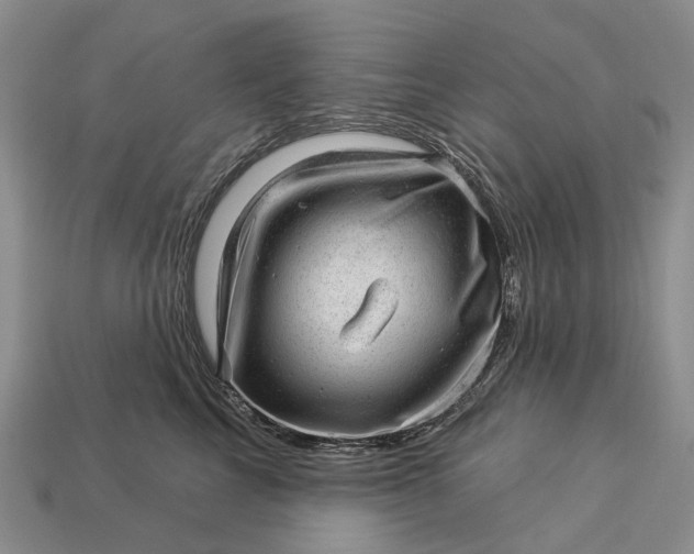 X0000112980713200909101714