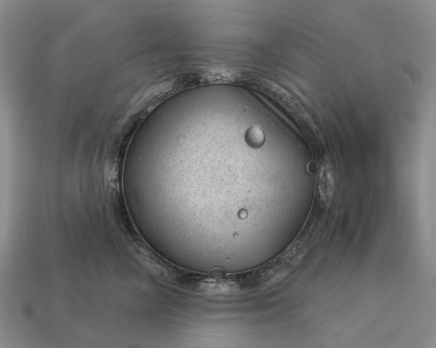 X0000112980714200909101714