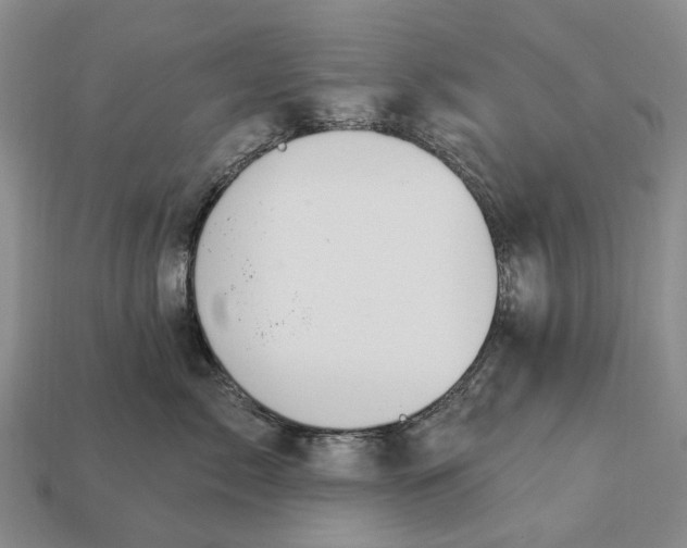 X0000112980717200909101714