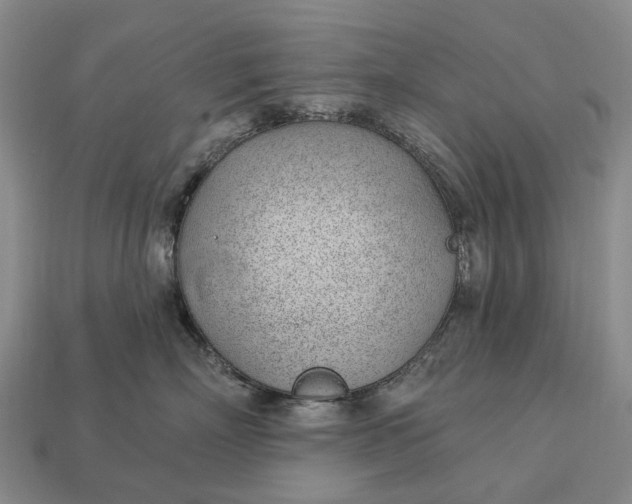 X0000112980718200909101714