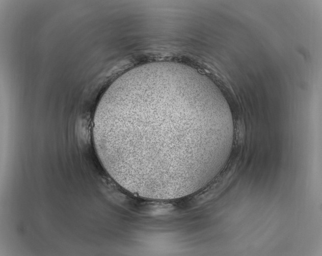 X0000112980719200909101714