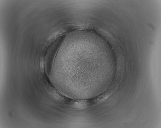 X0000112980720200909101714