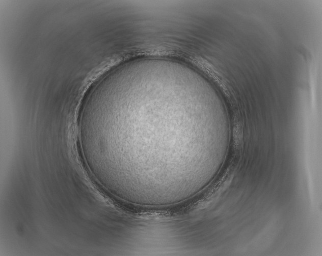 X0000112980721200909101713