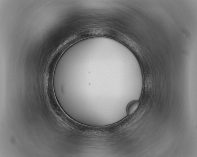 X0000112980722200909101713