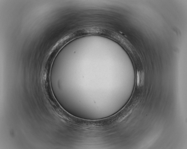 X0000112980723200909101713