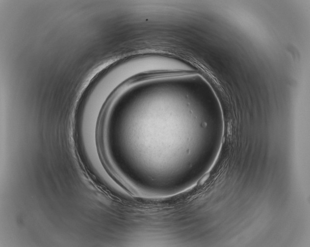 X0000112980724200909101713