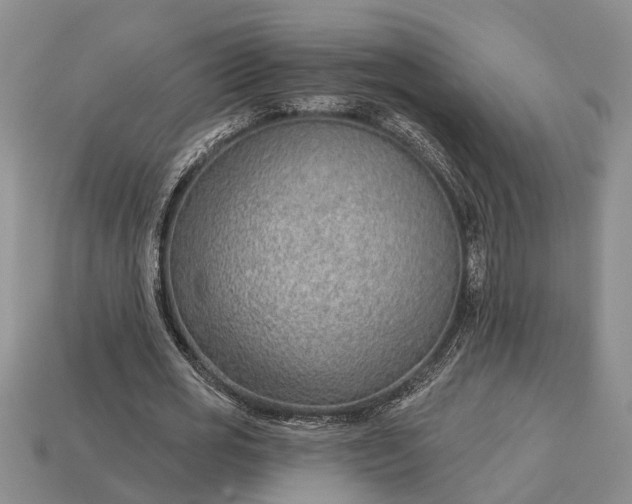 X0000112980725200909101713