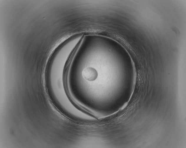 X0000112980726200909101713