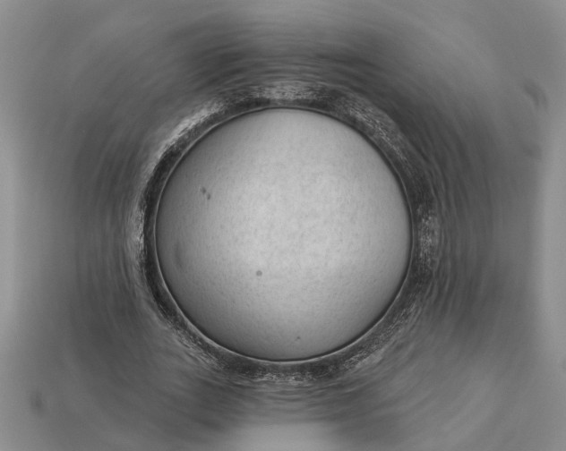 X0000112980727200909101713