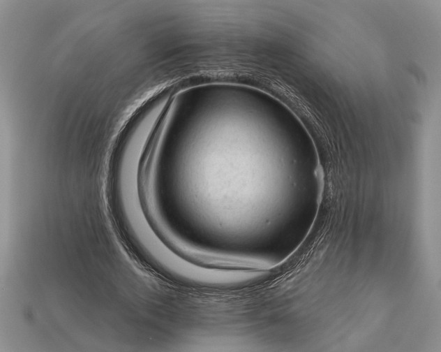 X0000112980728200909101713