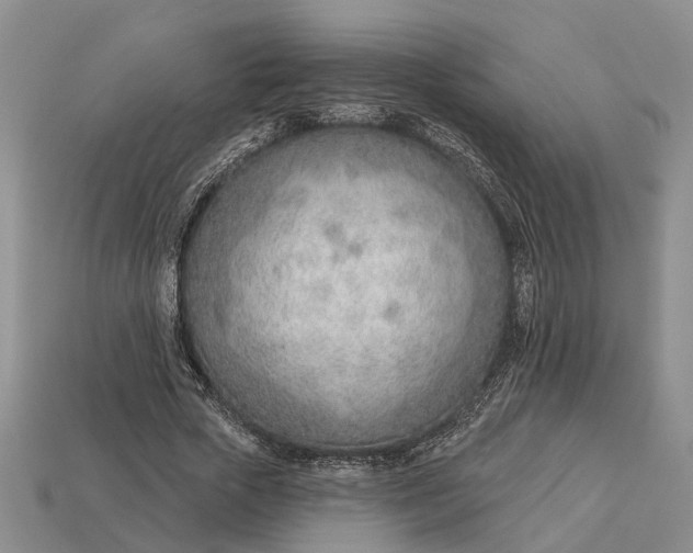 X0000112980729200909101713