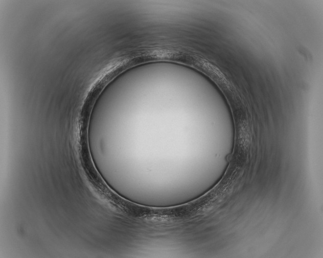 X0000112980730200909101713