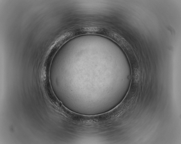 X0000112980731200909101714