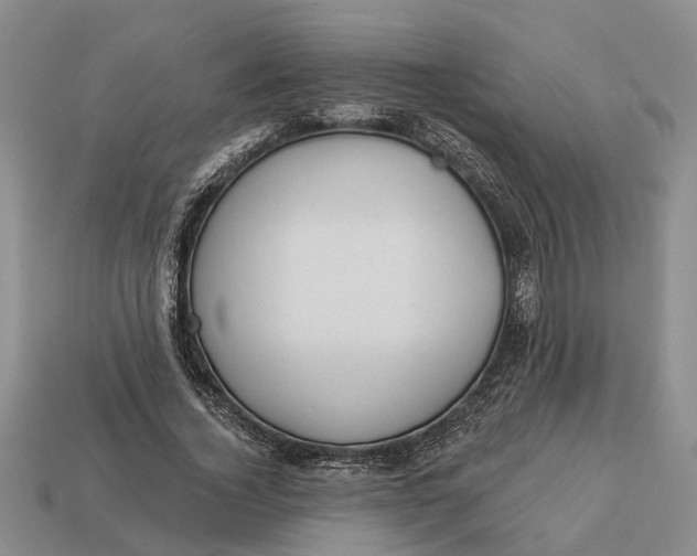 X0000112980732200909101714