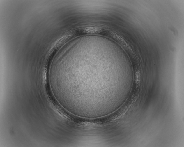 X0000112980733200909101714