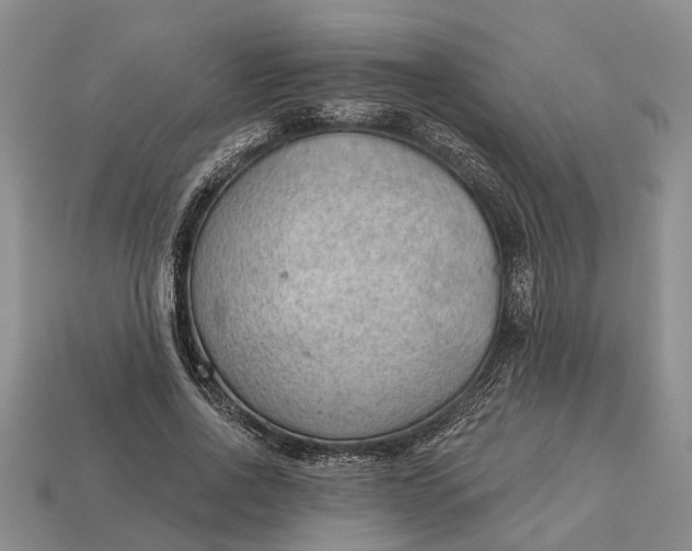 X0000112980734200909101714