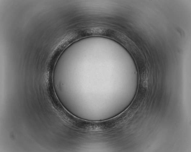 X0000112980735200909101714