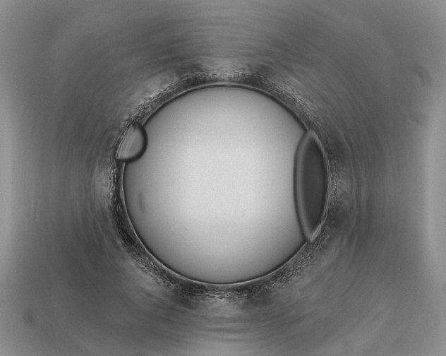 X0000112980736200909101714