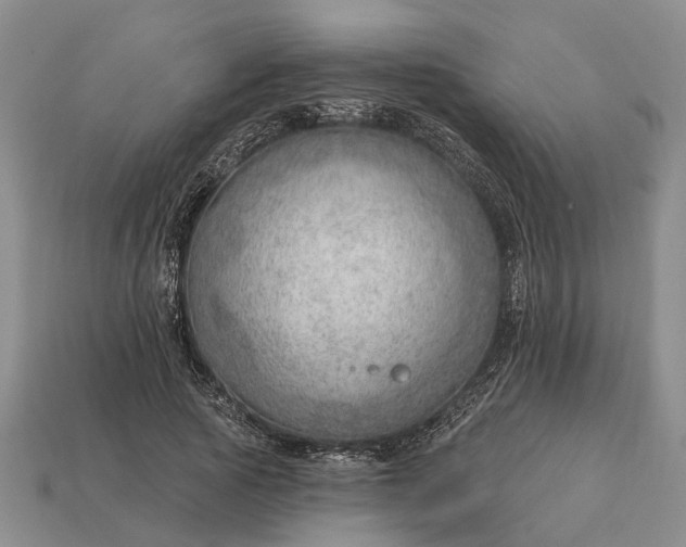 X0000112980737200909101714