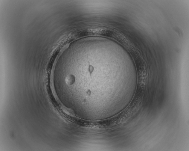 X0000112980738200909101714