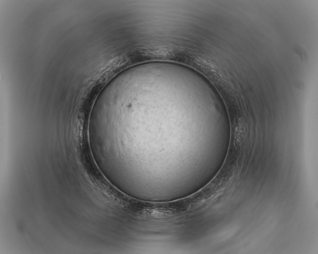 X0000112980739200909101714